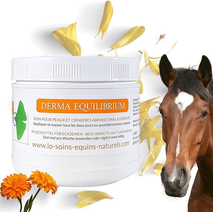 Derma Equilibrium dermite pour cheval