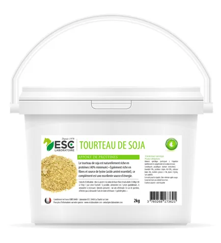 Tourteau de soja prise de poids du cheval
