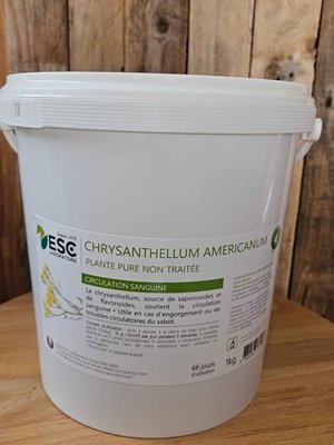 esc laboratoire/chrysantellum américanum