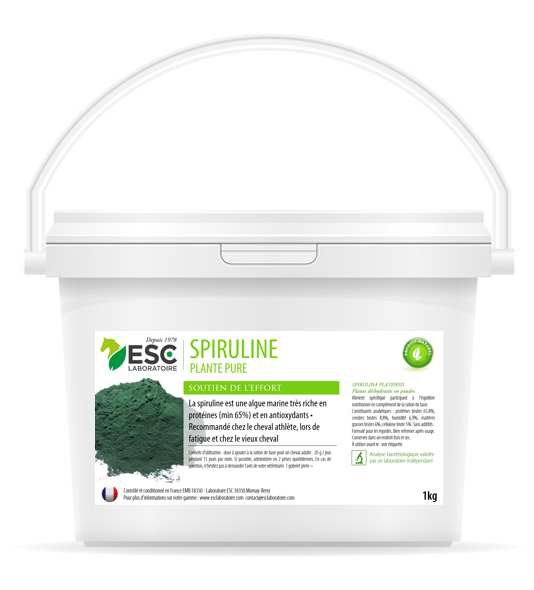 Spiruline vitalité du cheval