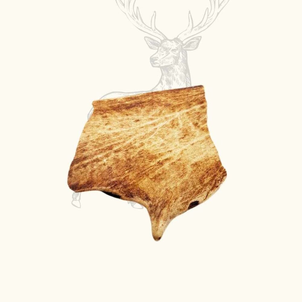 Bois de Daim pour chien