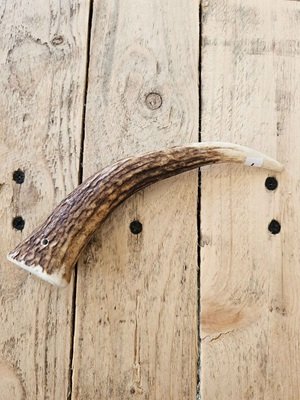 truffe délice/bois de cerf