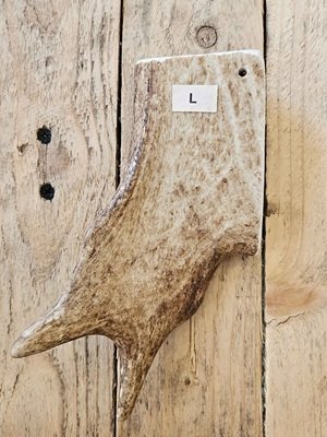 truffe délice/bois de daim