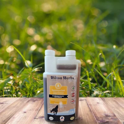 equimmune | défenses immunitaires cheval | hilton herbs