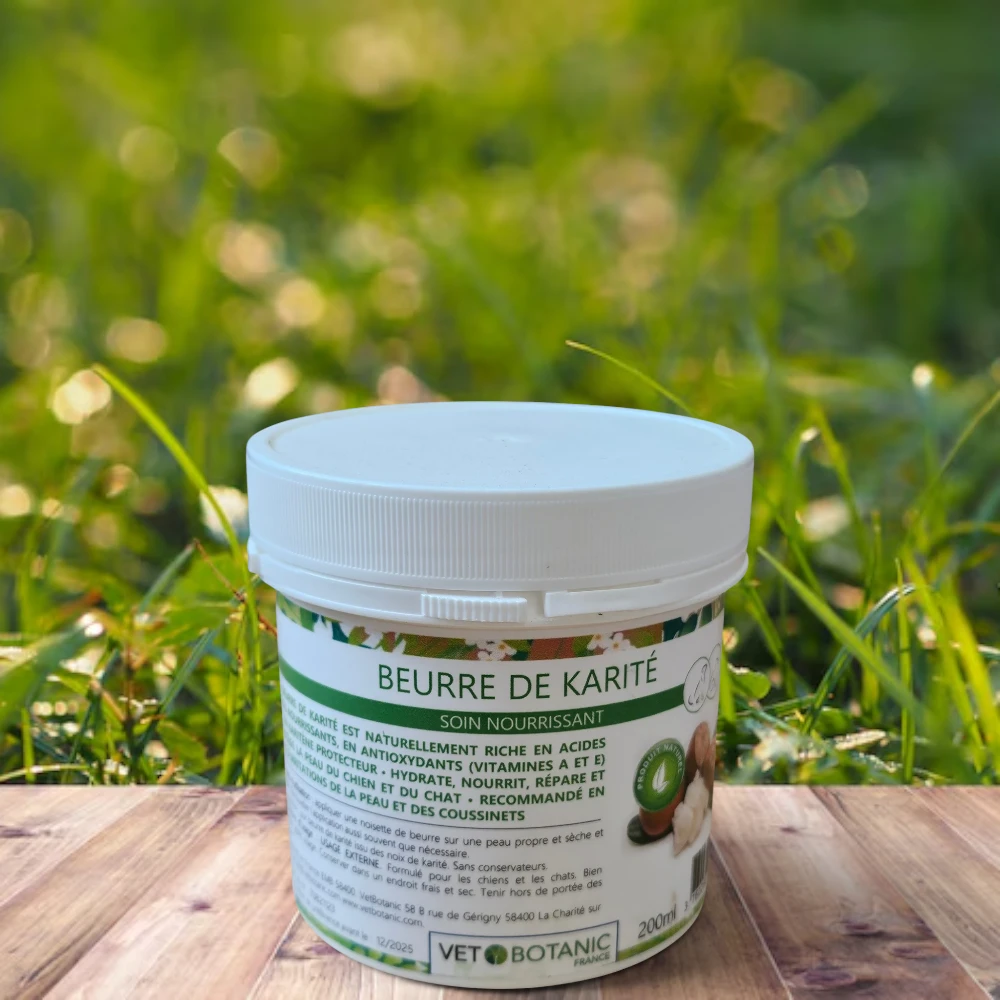beurre de karité | hydratation peau chien | vetbotanic