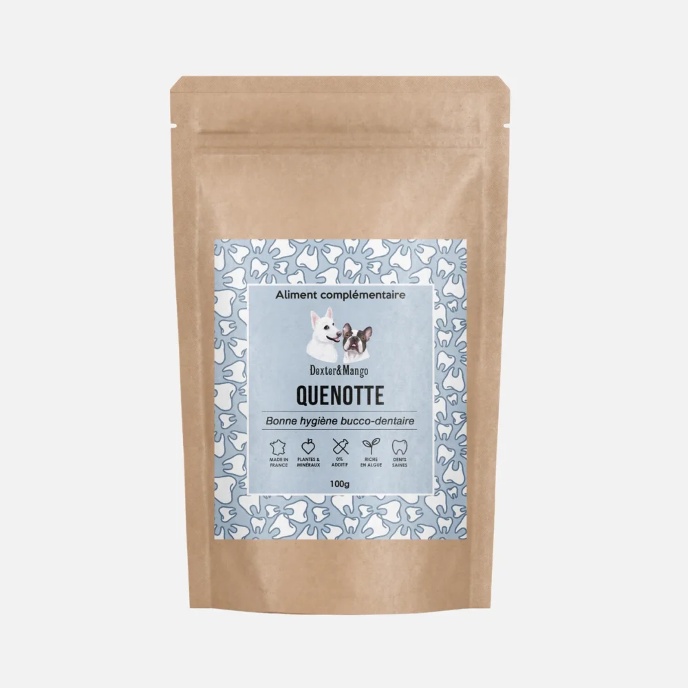 Quenotte hygiène dentaire de votre chien