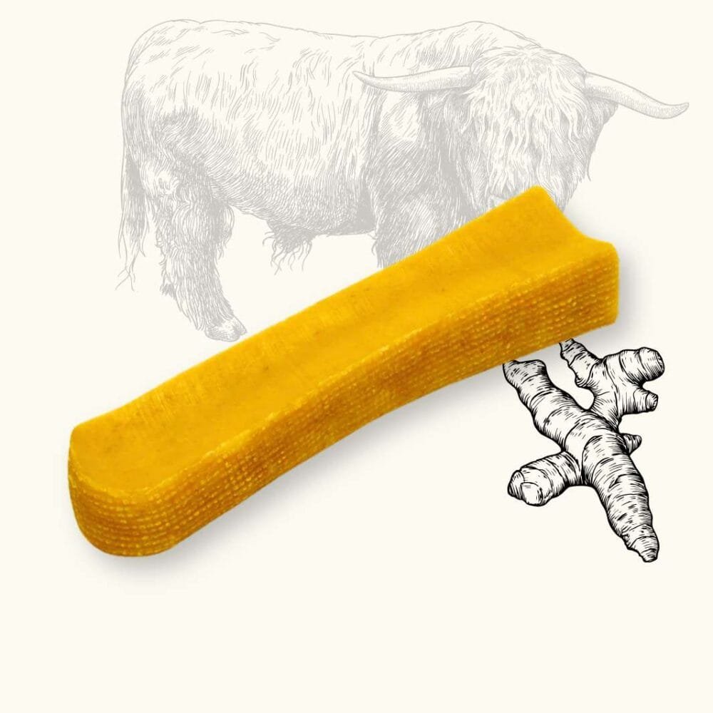 Fromage de yak saveur curcuma pour chien
