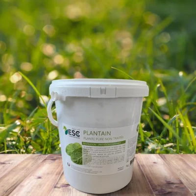 plantain | respiration cheval | esc laboratoire