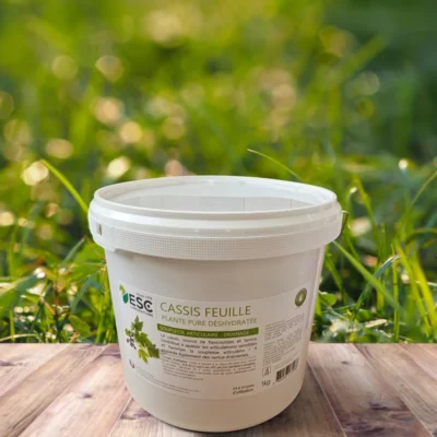 cassis feuilles | articulations cheval | esc laboratoire
