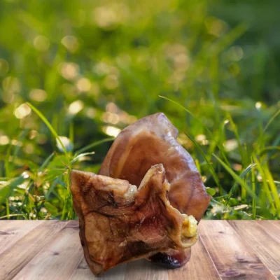 oreilles de cochon | mastication chien | truffe délice