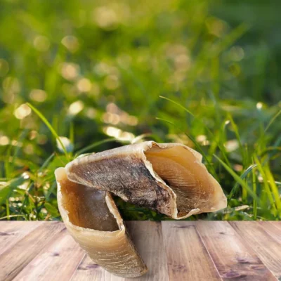 sabot de boeuf | mastication chien | truffe délice