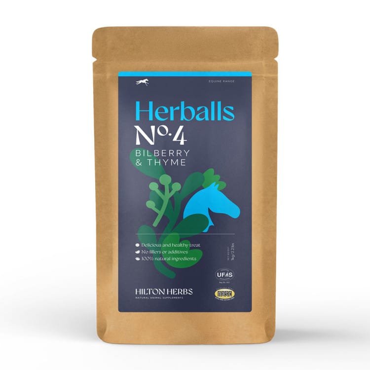 Hilton Herbs/Herballs Myrtille-Thym