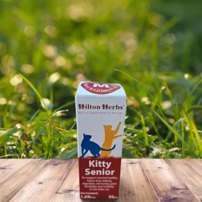 kitty sénior | santé du chat âgé | hilton herbs