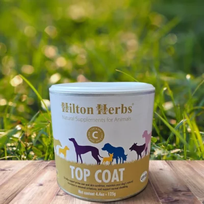 top coat | problèmes de peau et pelage chien | hilton herbs