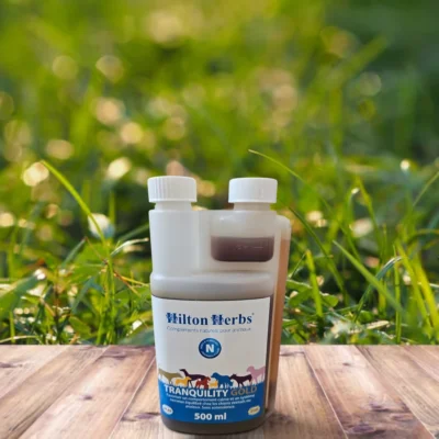 tranquility gold | chien anxieux et stressé | hilton herbs