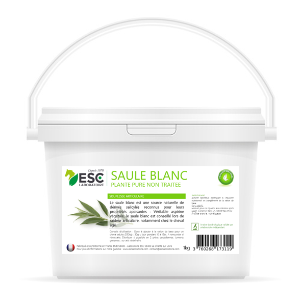 esc laboratoire/saule blanc
