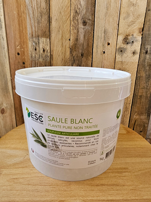 esc laboratoire/saule blanc