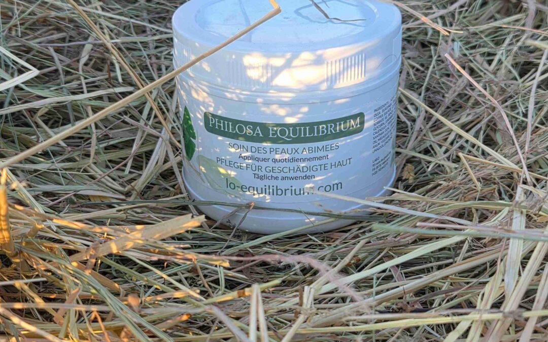 philosa equilibrium gale de boue