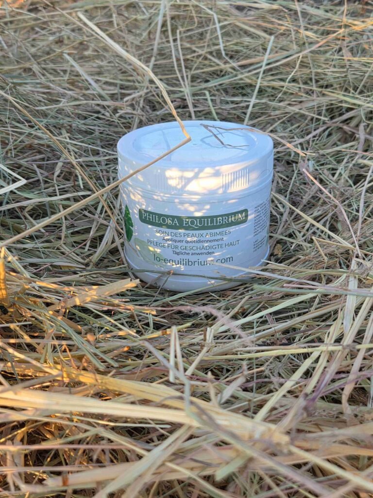 philosa equilibrium gale de boue